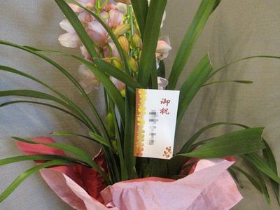 IMG_6723_R.JPG
