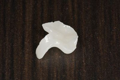 IMG_0953_R.jpg
