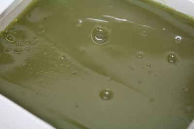 IMG_1007_R.jpg