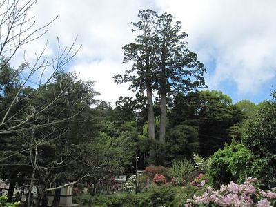 IMG_0267_R.jpg