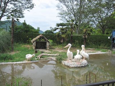 IMG_2815_R.jpg