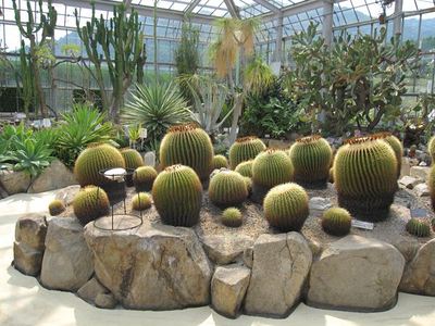 IMG_30164_R.jpg