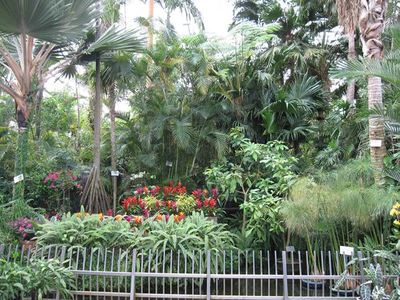 IMG_3020_R.jpg