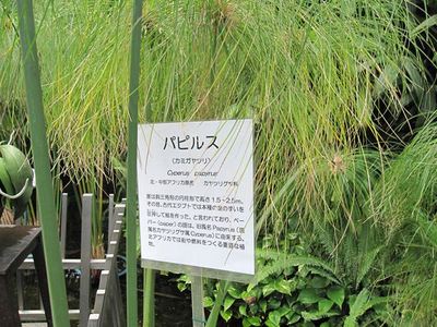 IMG_3024_R.jpg
