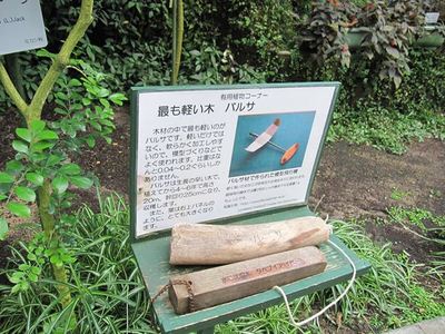 IMG_3026_R.jpg