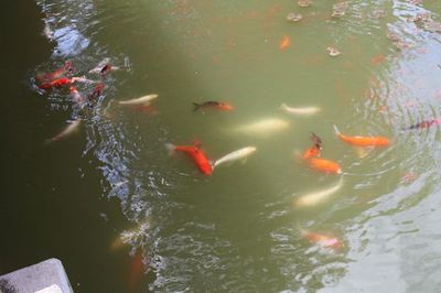 IMG_6979_R.jpg