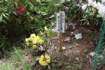 IMG_7014_R.jpg