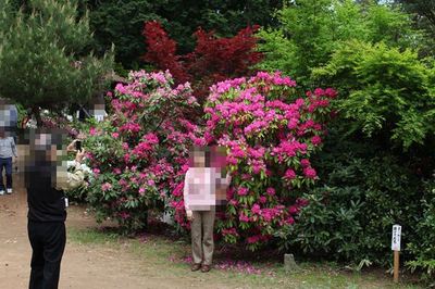 IMG_7043_R.jpg