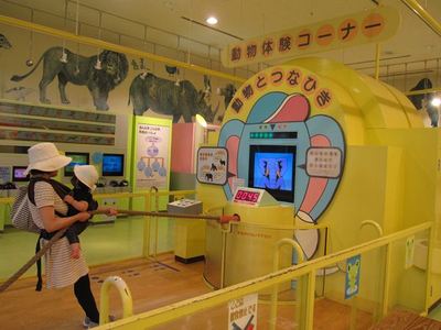 IMG_3660_R1.jpg