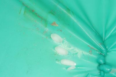 IMG_5672_R1.jpg