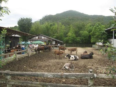 IMG_4174_R1.jpg