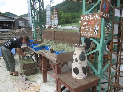 IMG_4200_R1.jpg