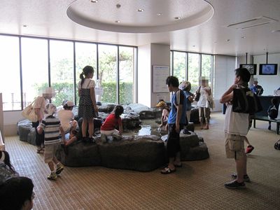 IMG_4458.JPG