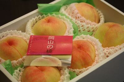 IMG_7325_R1.jpg