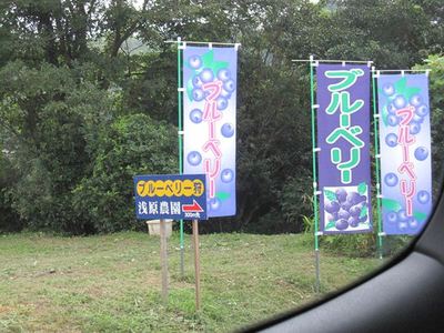 IMG_4687_R3.jpg