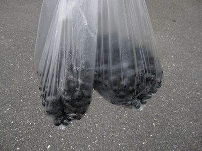 IMG_4700_R3.jpg