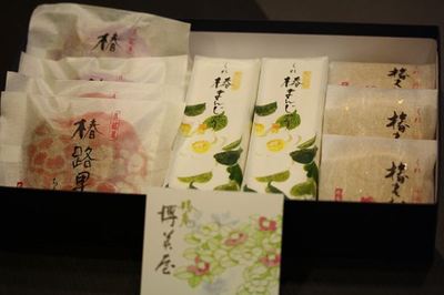 IMG_8922_R2.jpg