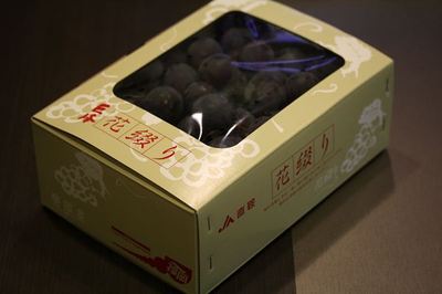 IMG_9851_R5.jpg