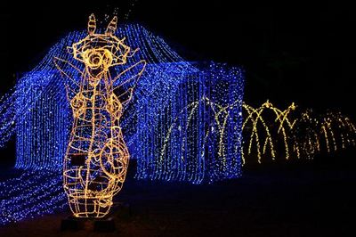 IMG_6264R5.jpg