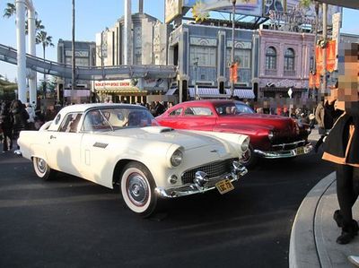 IMG_7145R5.jpg