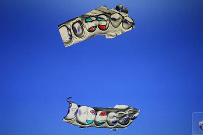 IMG_2550R7.jpg