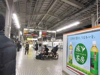 IMG_8595R6.jpg