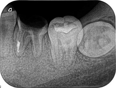 2013.03.02R07.jpg