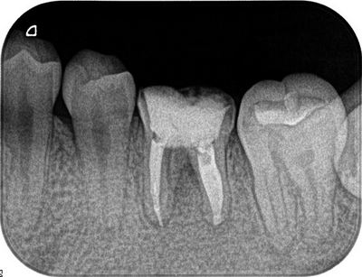 2013.03.08R07.jpg