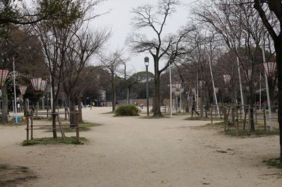 IMG_1045R07.jpg