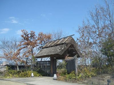 IMG_89131R7.jpg