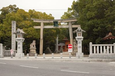 IMG_9073R07.jpg