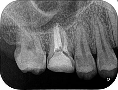 2013.04.20R071.jpg