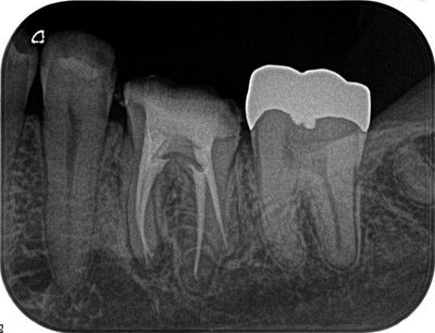 2013.06.15R071.jpg
