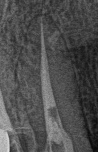 2013.08.30R075.jpg