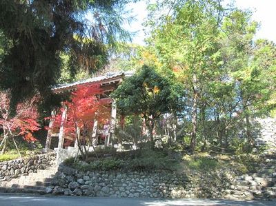 IMG_5654R077.jpg