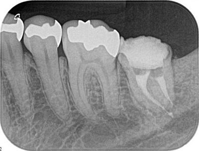 2014.01.23R078.jpg