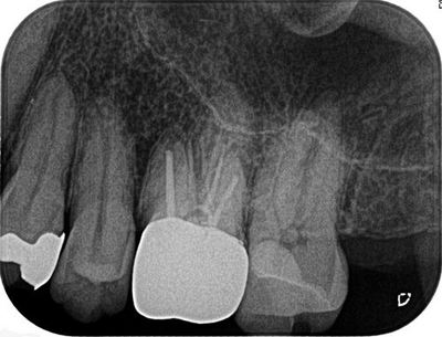 2013.12.10R078.jpg