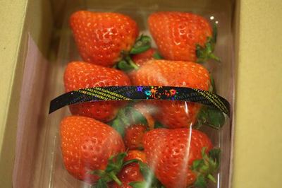 IMG_0198R078.jpg
