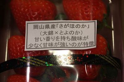 IMG_0200R078.jpg