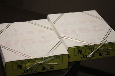 IMG_1411R78.jpg