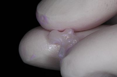 IMG_1671R78.jpg