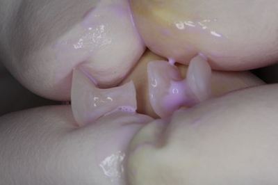 IMG_3808R78.jpg