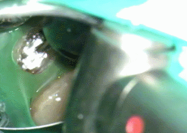 5倍速で切削スタート.gif