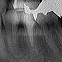 CT_20141205214511.jpg