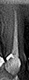 CT_20141217225542.jpg