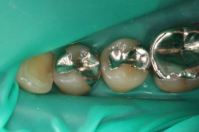 IMG_7348R82.jpg