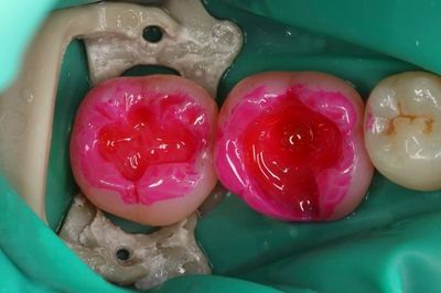 IMG_7913R82.jpg