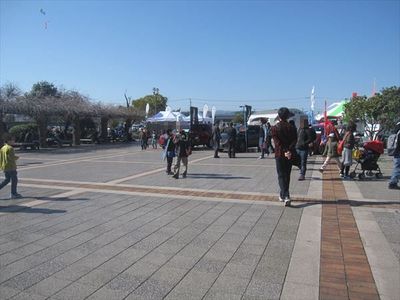 IMG_0805_R83.JPG