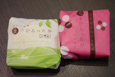 hiroshimashikaIMG_1923_R84.JPG
