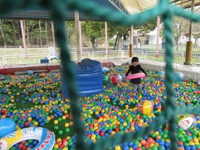 IMG_0528_R84.JPG
